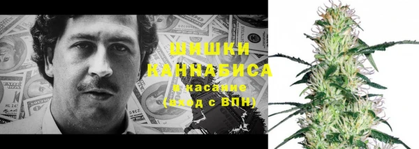 гашик Сосновка