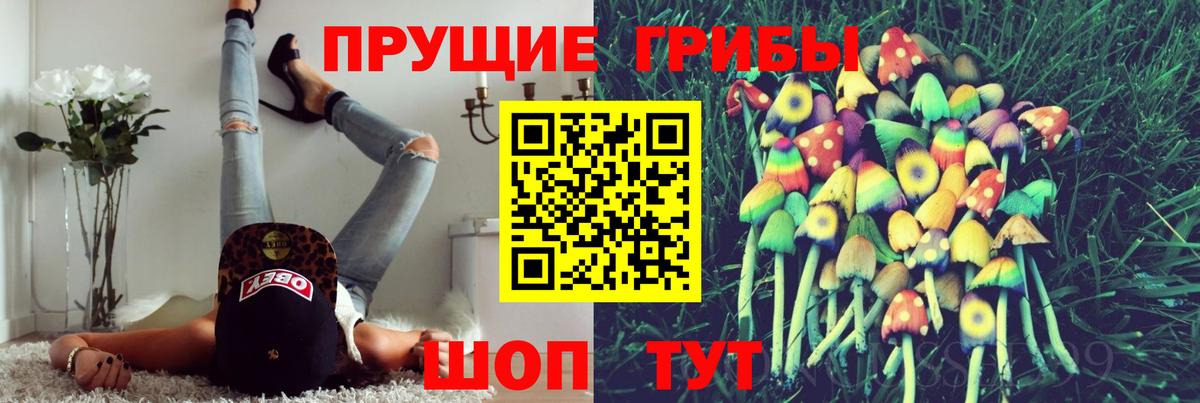 Шуя  Галлюциногенные грибы MAGIC MUSHROOMS  Вход с VPN 